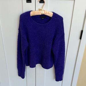Sanctuary Women's Deep Blue Crew Neck Sweater Size S